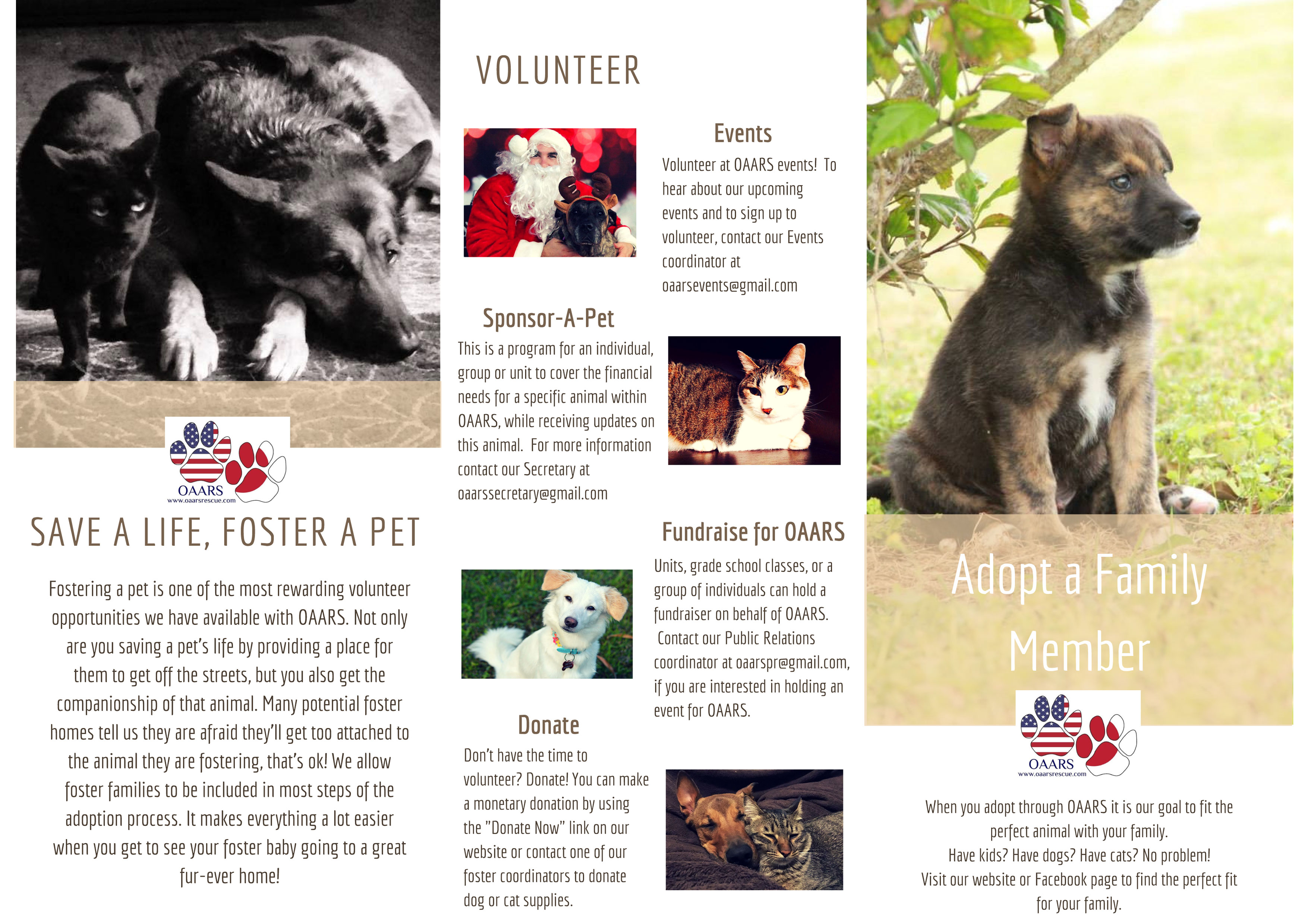 Okinawa American Animal Rescue Society Trifold Flyer Inside